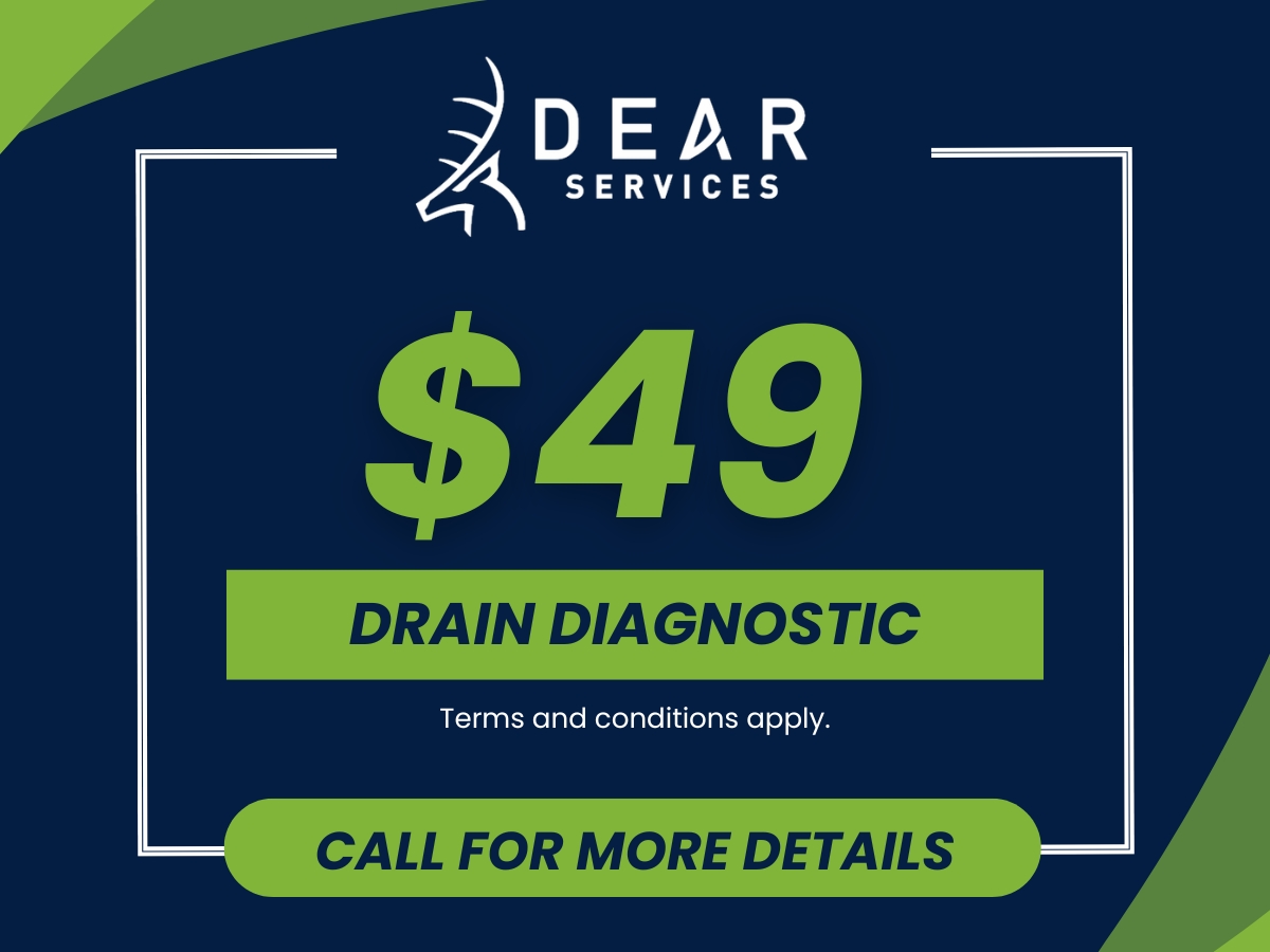 $49 Drain Diagnostic