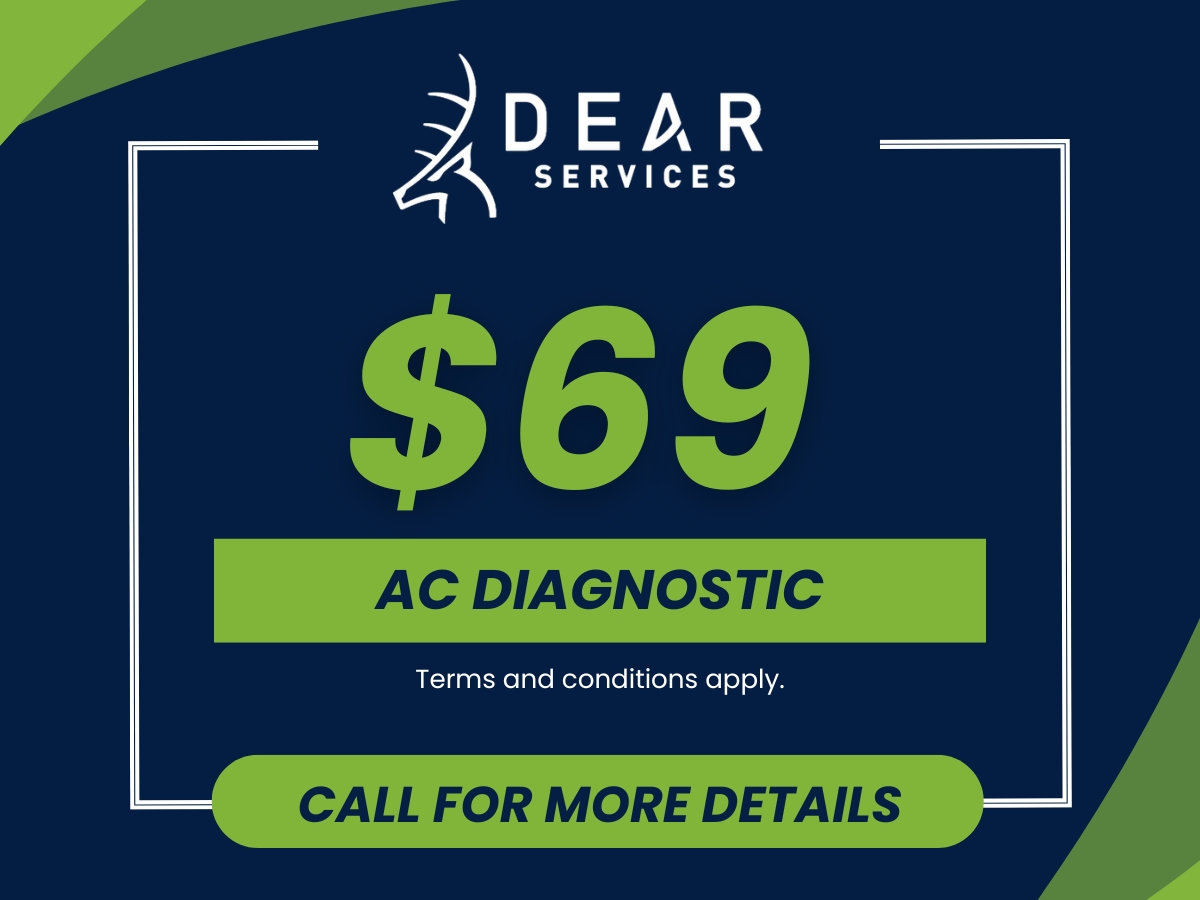 $69 AC Diagnostic